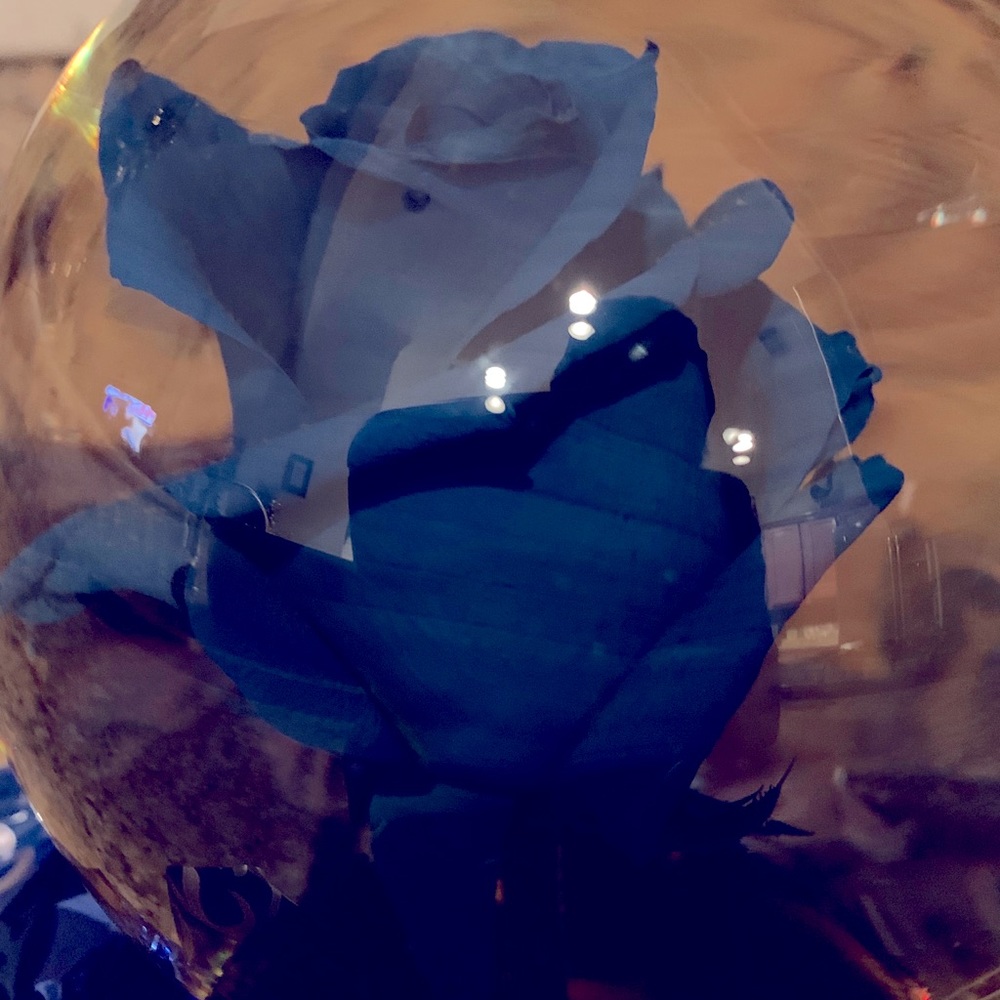 Blue Rose  Water Globe